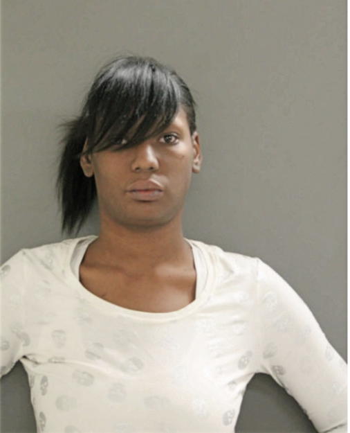 DEIRDRE T PRICE, Cook County, Illinois