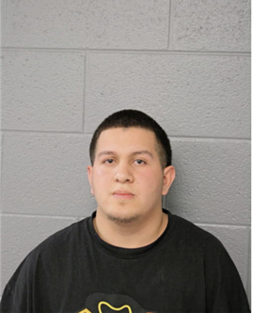 ISMAEL SALCEDO, Cook County, Illinois