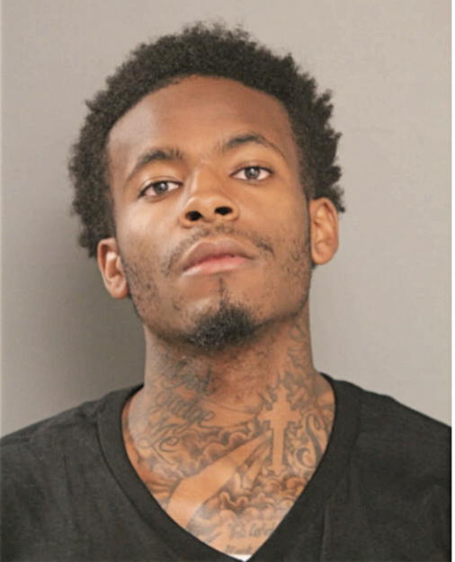 ANDRE J SULLIVAN, Cook County, Illinois