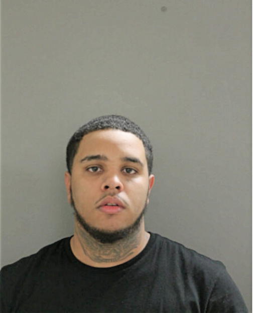 BRAYLEN S WATKINS, Cook County, Illinois