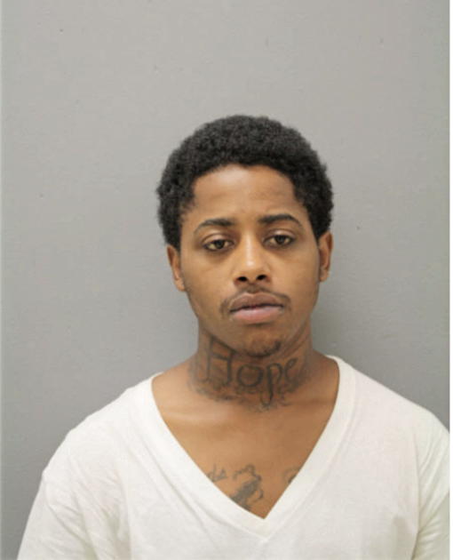 ROBERT M WHITE, Cook County, Illinois