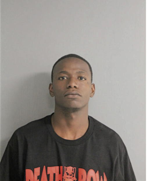 TERRENCE T ANDERSON, Cook County, Illinois