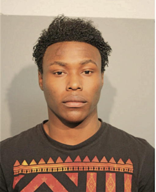 LARENZO M ARNOLD, Cook County, Illinois