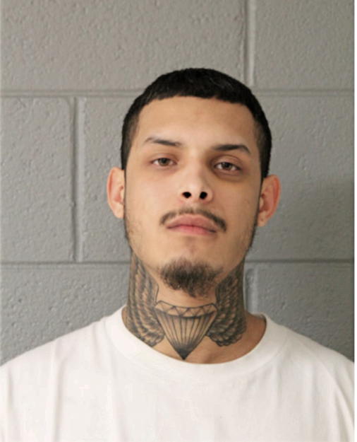 PAUL BELARDO, Cook County, Illinois