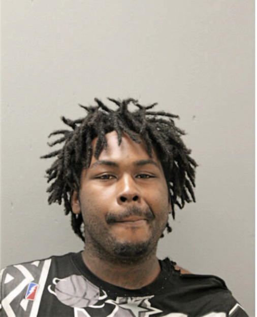RANDY T BROWN, Cook County, Illinois