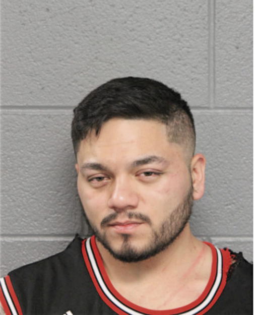 DIEGO A DELGADO, Cook County, Illinois