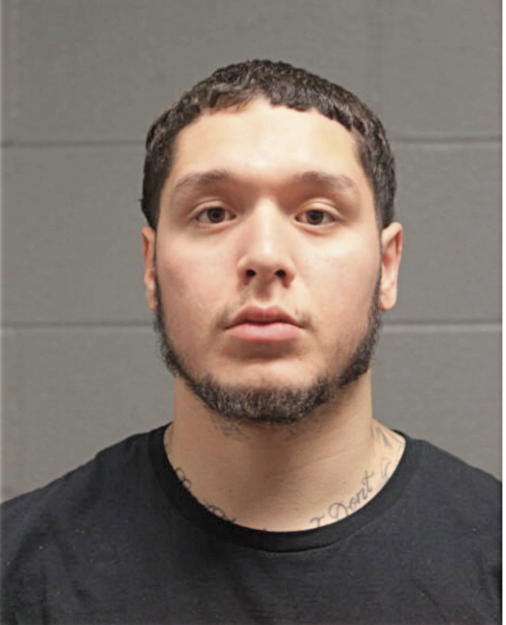 RAUDEL J DELREAL, Cook County, Illinois