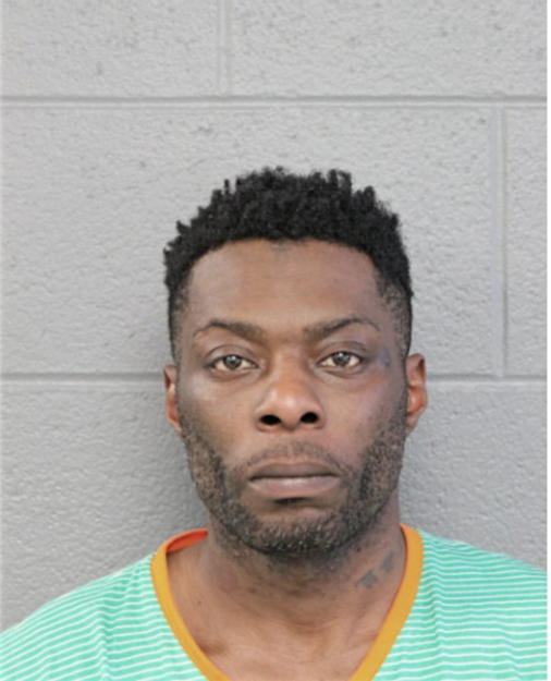 CARL W ELLIS, Cook County, Illinois