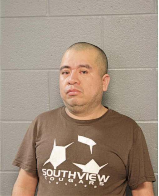 SALOMON FLORES, Cook County, Illinois