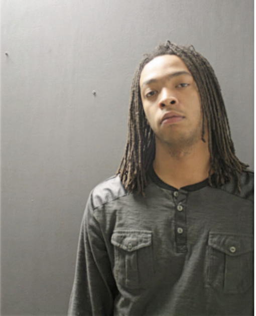 MICHAEL A HUTCHINSON, Cook County, Illinois