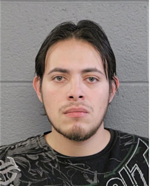 JORGE E LEAL, Cook County, Illinois
