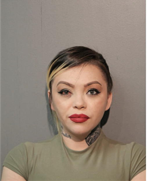 HELEN E LETTIERI, Cook County, Illinois