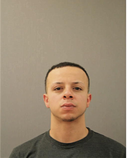 LUIS M MALDONADO, Cook County, Illinois