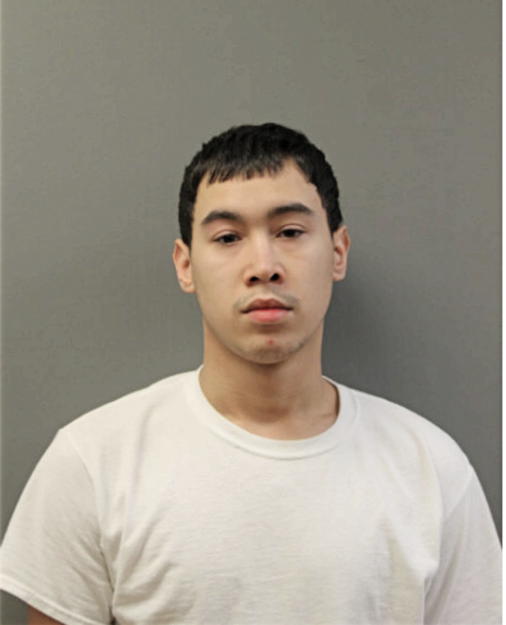 BRYAN M MEDINA, Cook County, Illinois