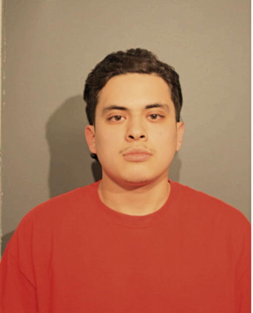 HUMBERTO E MENA, Cook County, Illinois