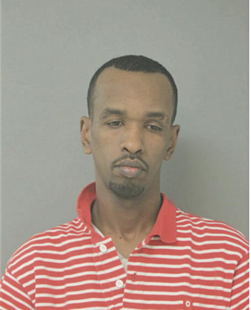 AHMED A MOHAMED, Cook County, Illinois
