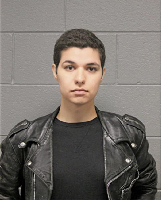 VINCENT A NAVARRO, Cook County, Illinois