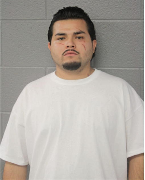 ANGEL ORTIZ, Cook County, Illinois