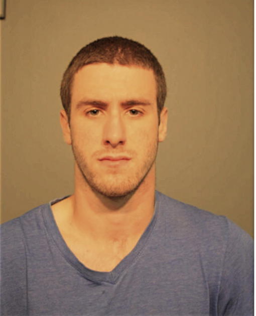 SEAN L PADGETT, Cook County, Illinois