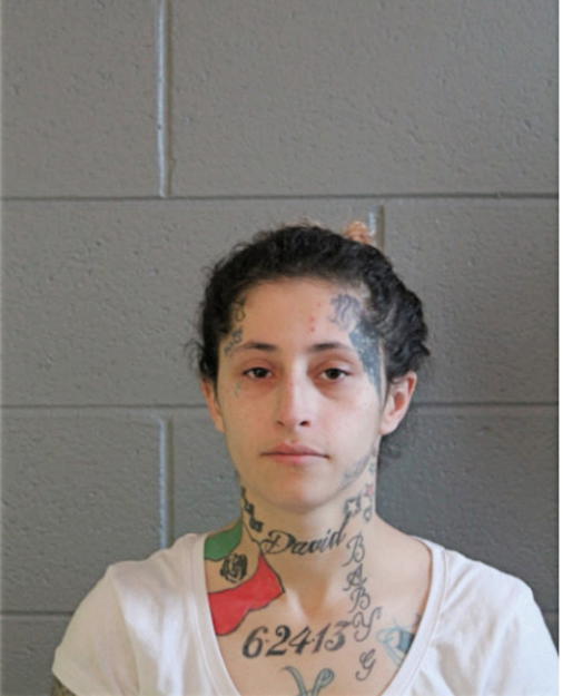 LYDIA M RODRIGUEZ, Cook County, Illinois