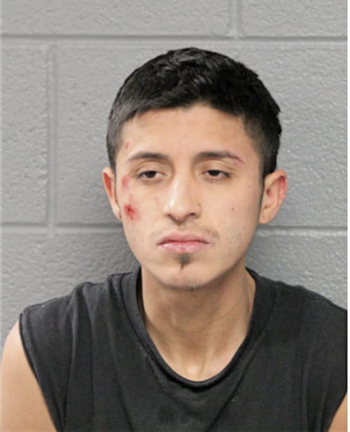 ELIAS ROJAS, Cook County, Illinois