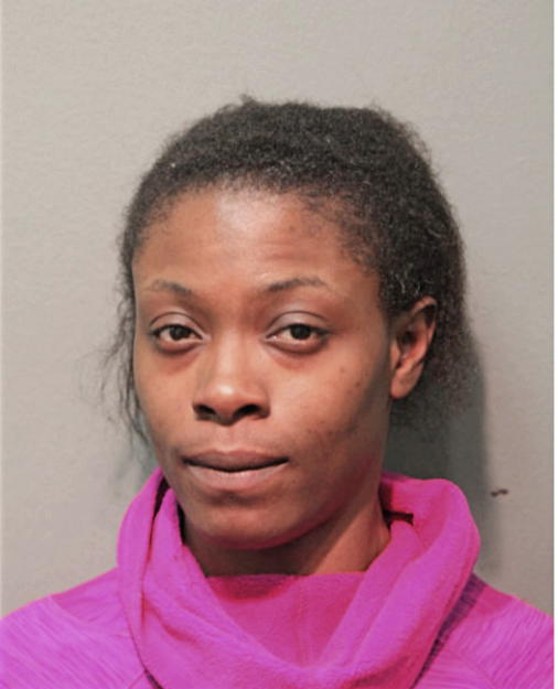 SHIRLEENA S SANDIFER, Cook County, Illinois