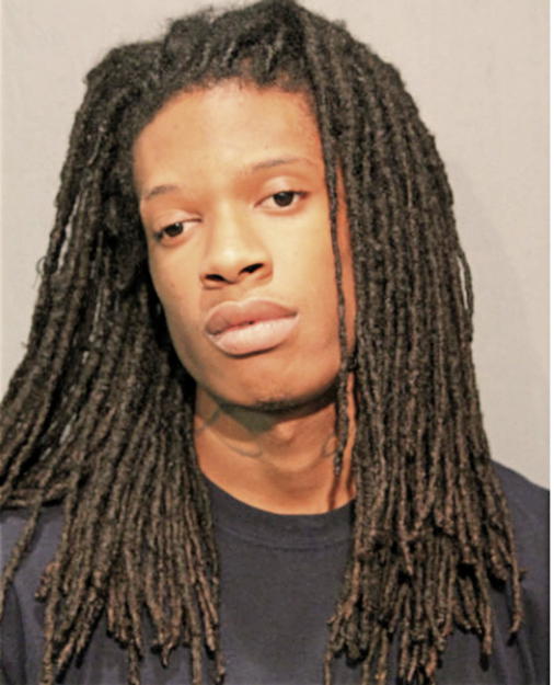 JAMARI J STANFORD, Cook County, Illinois