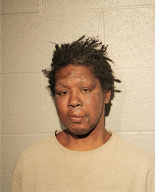 MICHELLE STEWARD, Cook County, Illinois