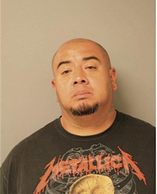 MANUEL VEGA, Cook County, Illinois
