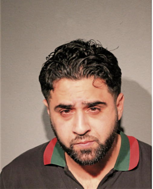 NASSER M AHMED, Cook County, Illinois