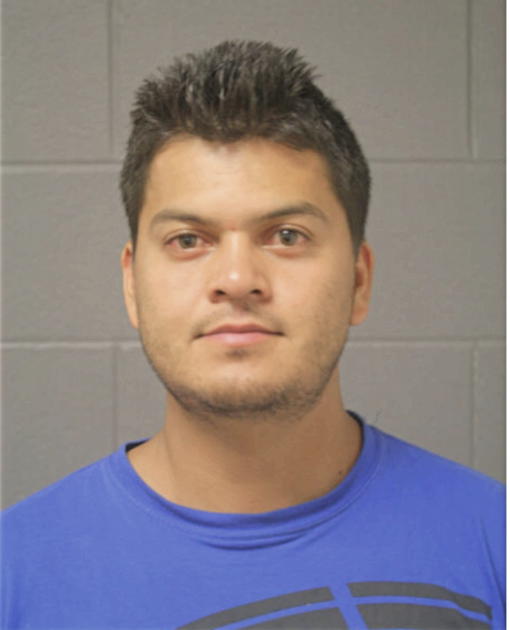 MARIO ARTEAGA, Cook County, Illinois