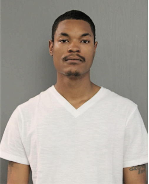 BRIAN D BERGMAN, Cook County, Illinois