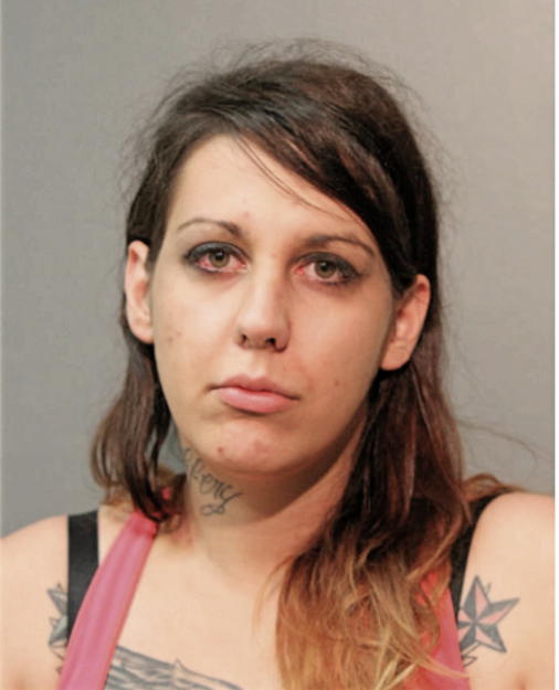 ALYSHA B BOJOVIC, Cook County, Illinois