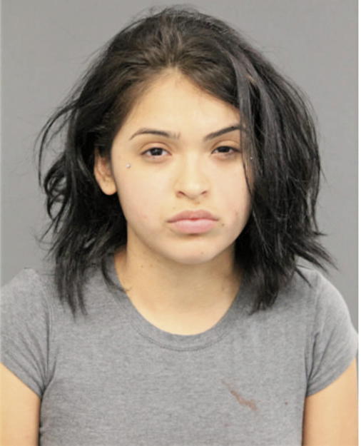 ALEXIS M CALVILLO, Cook County, Illinois