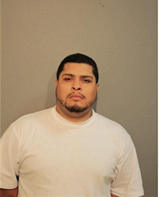 RAUL CALVILLO, Cook County, Illinois