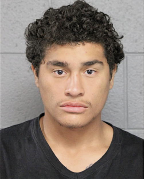 ENRIQUE D CARLO, Cook County, Illinois