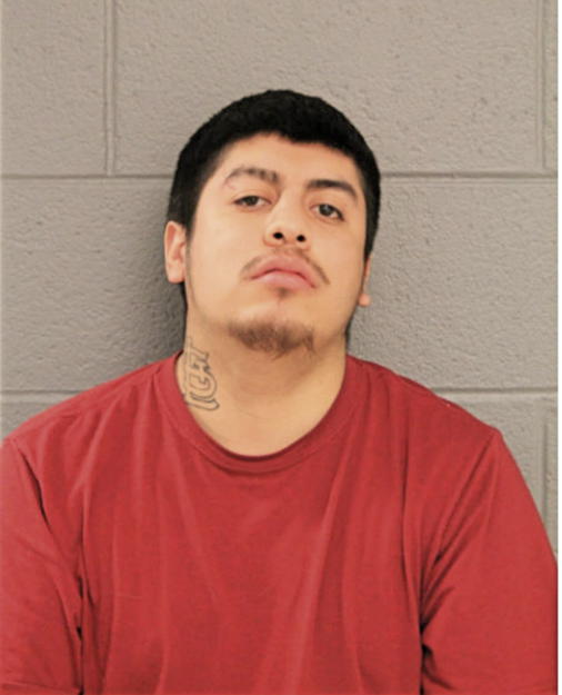 ULISSES C DELGADO, Cook County, Illinois
