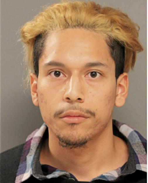 ANDREW J FABIAN, Cook County, Illinois
