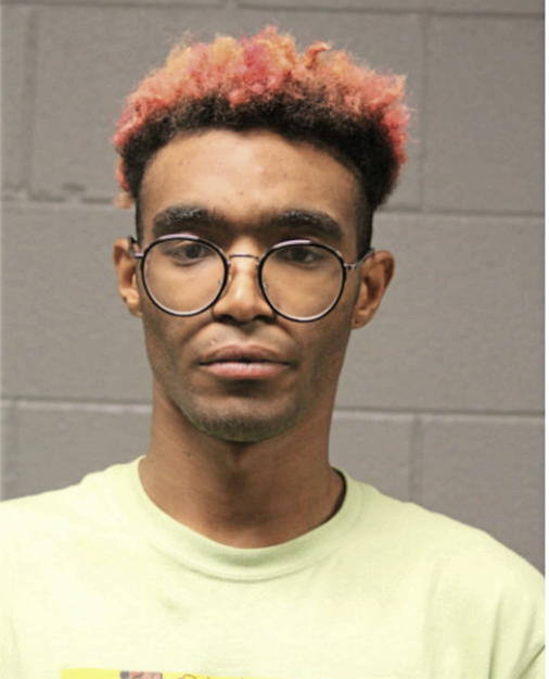 BRADLEY S HALE, Cook County, Illinois