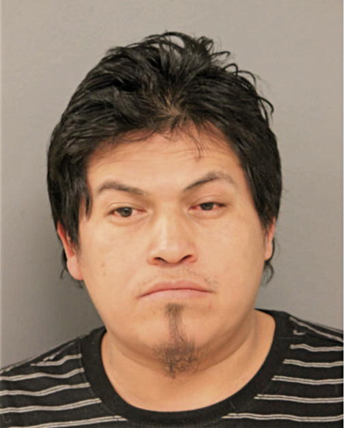 JOSE L HERNANDEZ, Cook County, Illinois