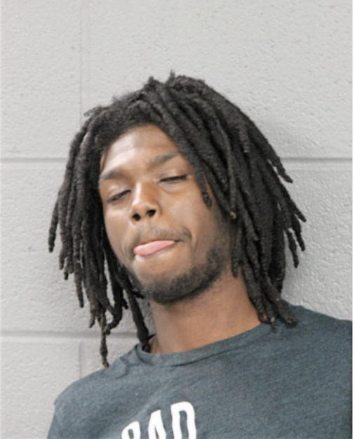 TERRY C IVORY, Cook County, Illinois