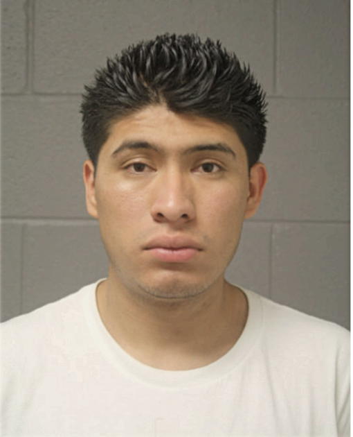 WALTER J GONZALEZ, Cook County, Illinois