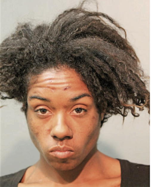 DELORA DOMICA JOHNSON, Cook County, Illinois