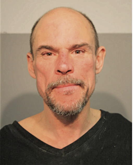 BRIAN W LAVERGNE, Cook County, Illinois