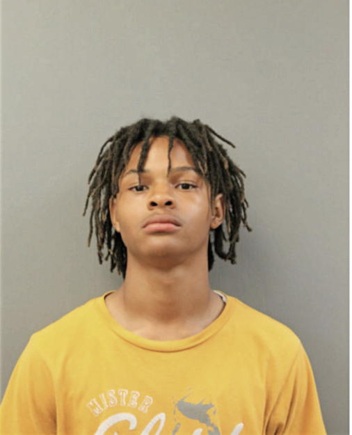 ELIJAH E MCNEAL, Cook County, Illinois