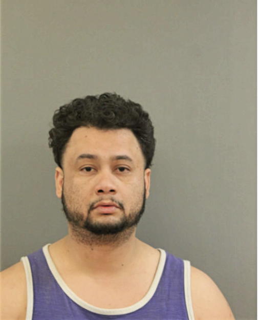 WILLIAM E ORTIZ, Cook County, Illinois