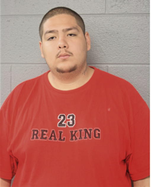 DAVID G SALINAS, Cook County, Illinois