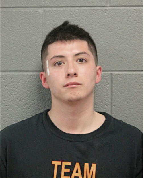 CHRISTIAN VARGAS, Cook County, Illinois