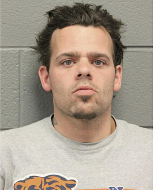 RYAN A WOODY, Cook County, Illinois