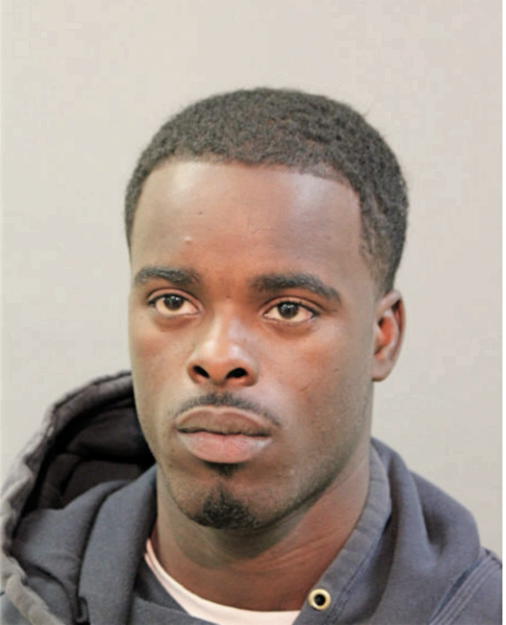ADONIS T YOUNG, Cook County, Illinois